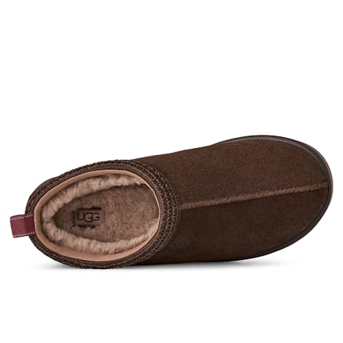 laydown image of Tasman GTX