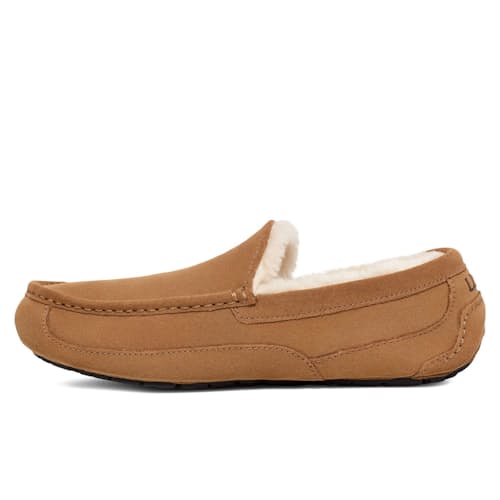laydown image of Tasman GTX