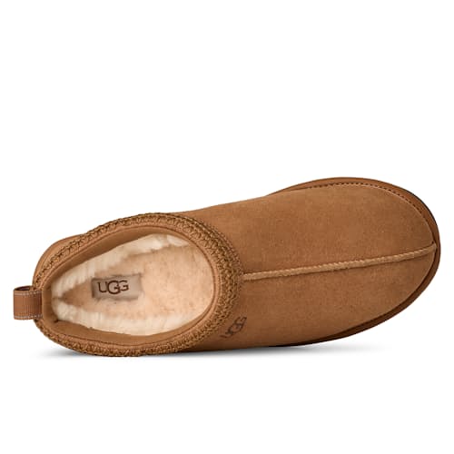 laydown image of Tasman GTX