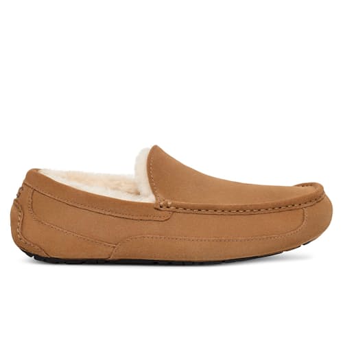 laydown image of Ascot Slipper