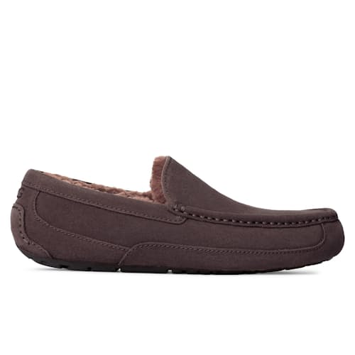 laydown image of Ascot Slipper