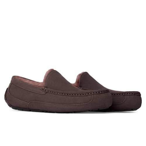 laydown image of Ascot Slipper