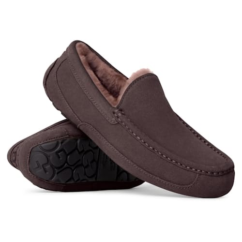 laydown image of Ascot Slipper