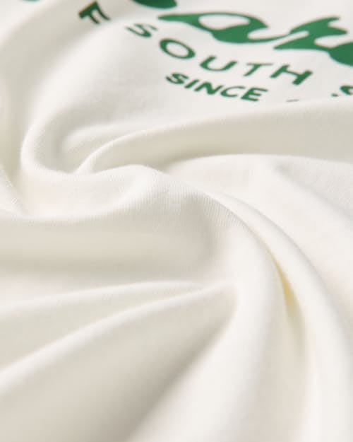 laydown detail image of Barbour x Levi's Graphic T-Shirt
