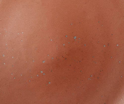 laydown detail image of Dinner Plate