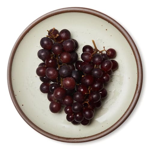 laydown image of Dinner Plate