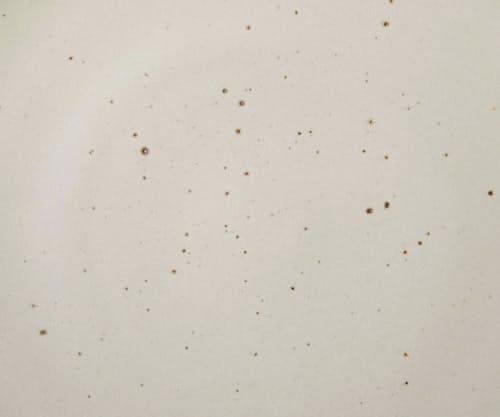 laydown detail image of Dinner Plate