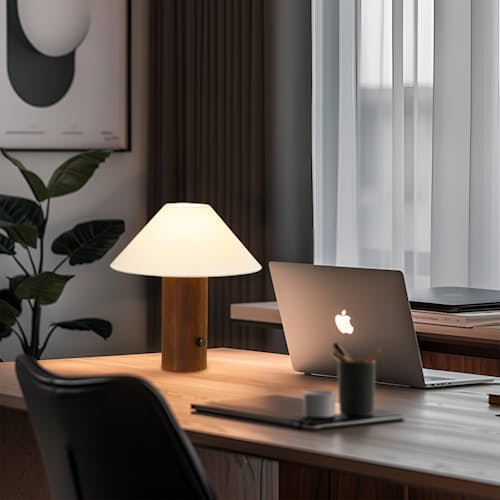 lifestyle image of Oakley LED Desk Lamp