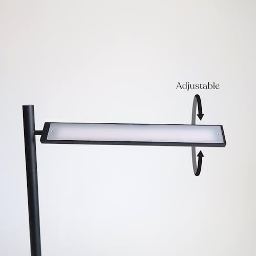 no crop image of Linden Floor Lamp