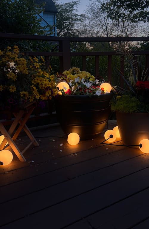 lifestyle image of Orb String Lights