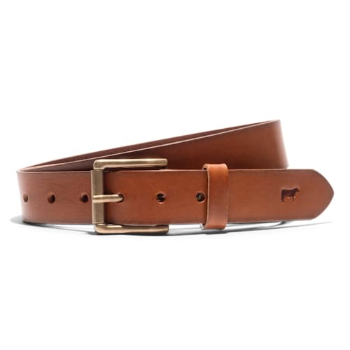 laydown image of Saddle Belt