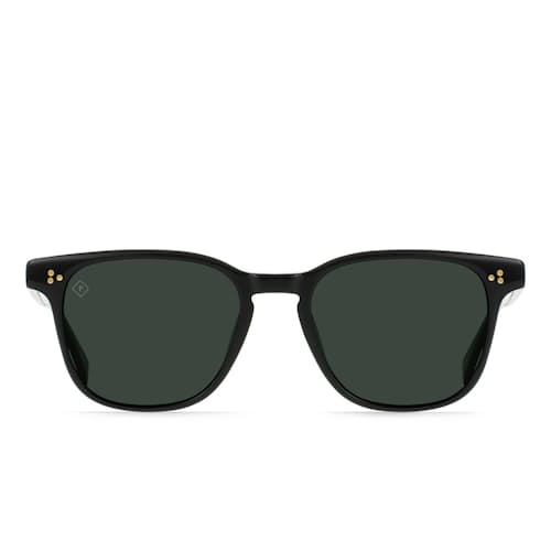 laydown image of ALVEZ Polarized
