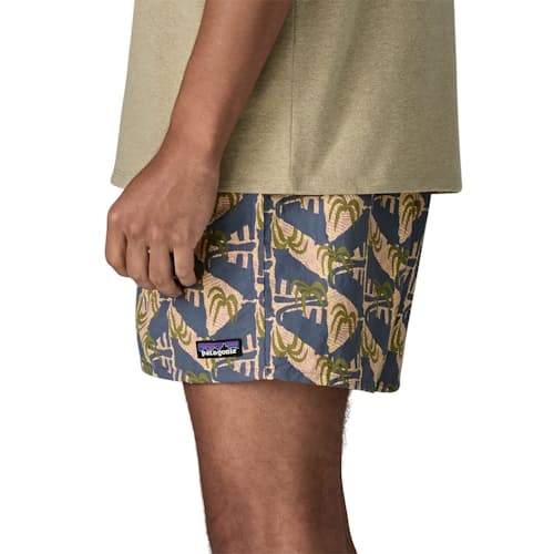 on model image of Baggies Shorts - 5"