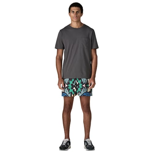 on model image of Baggies Shorts - 5"