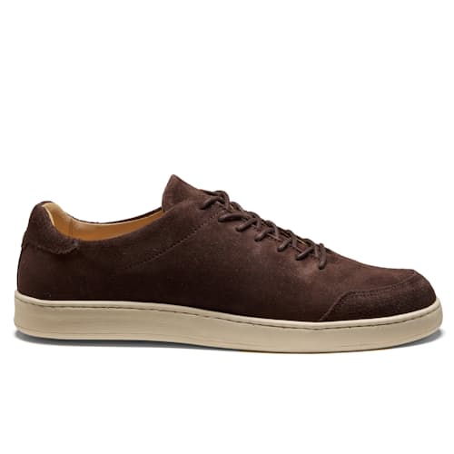laydown image of Terra Low Sneaker