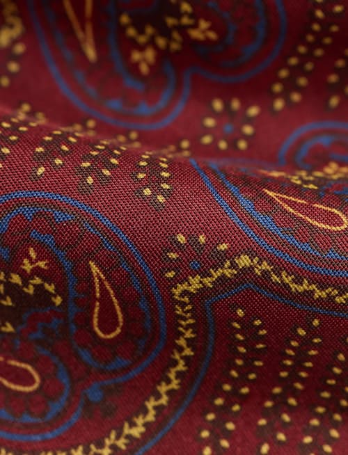 laydown detail image of Silk Paisley Heart Neck Tie