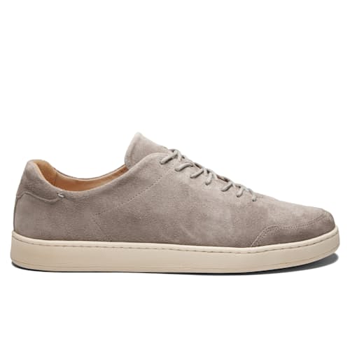 laydown image of Terra Low Sneaker