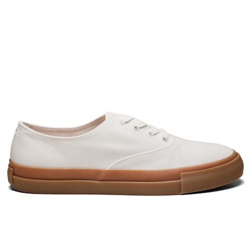 laydown image of Canvas Sneaker