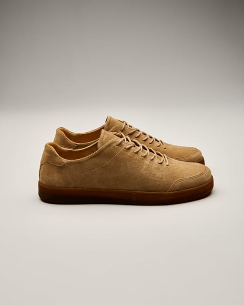 no crop image of Terra Low Sneaker