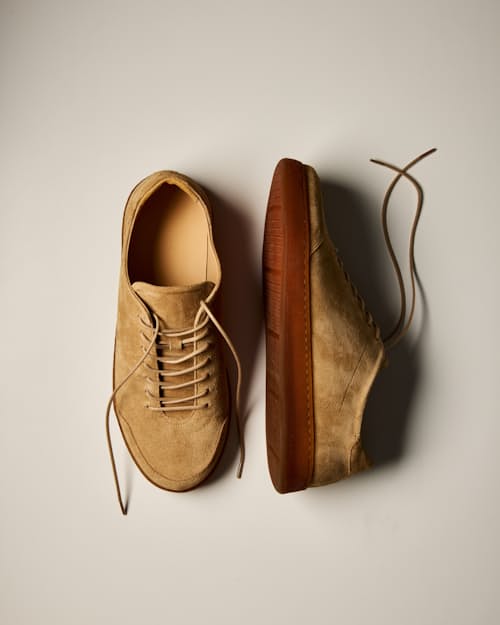 no crop image of Terra Low Sneaker