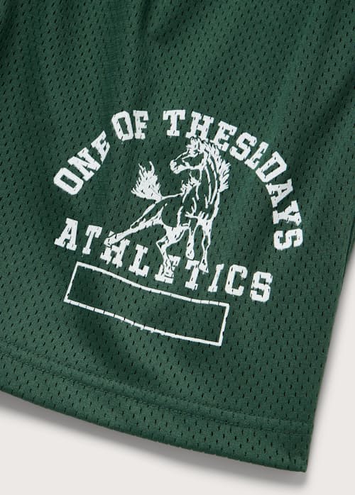 laydown detail image of Mustang Athletics Mesh Shorts