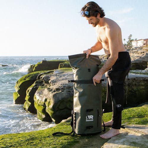 lifestyle image of Tardigrade