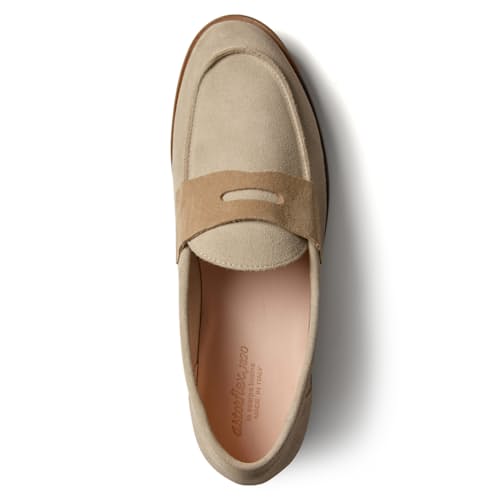 laydown image of Dartflex Loafer