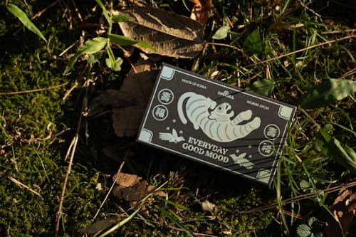 lifestyle image of Korea Edition Incense