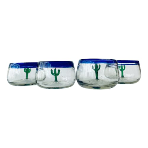 laydown image of Cactus Wide Bottomed Sippers - Set of 4
