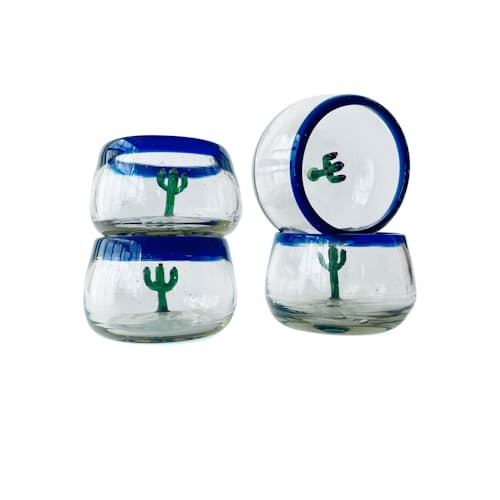 laydown image of Cactus Wide Bottomed Sippers - Set of 4