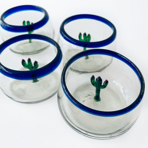 laydown detail image of Cactus Wide Bottomed Sippers - Set of 4