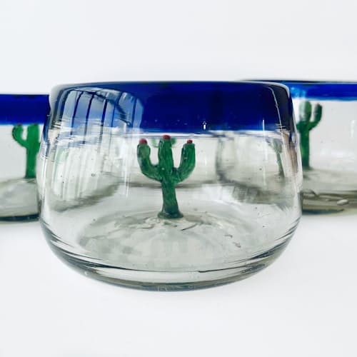 laydown detail image of Cactus Wide Bottomed Sippers - Set of 4