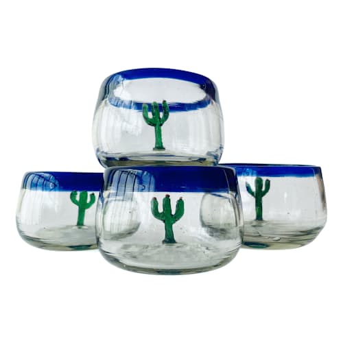 laydown image of Cactus Wide Bottomed Sippers - Set of 4