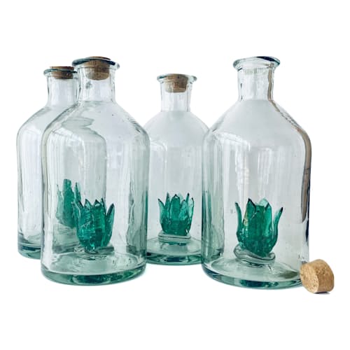 laydown image of Clear Bottle with Green Agave