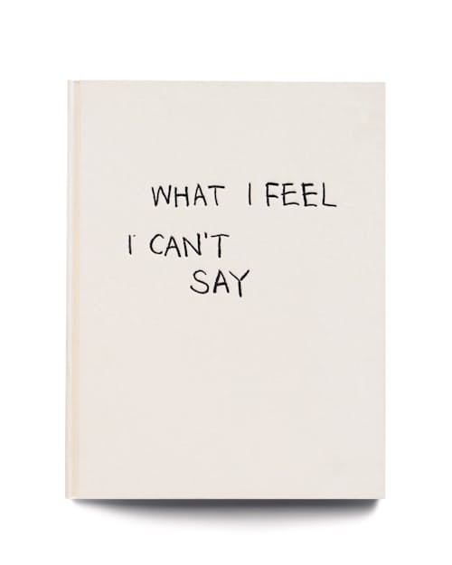 laydown image of What I Feel I Can’t Say Book