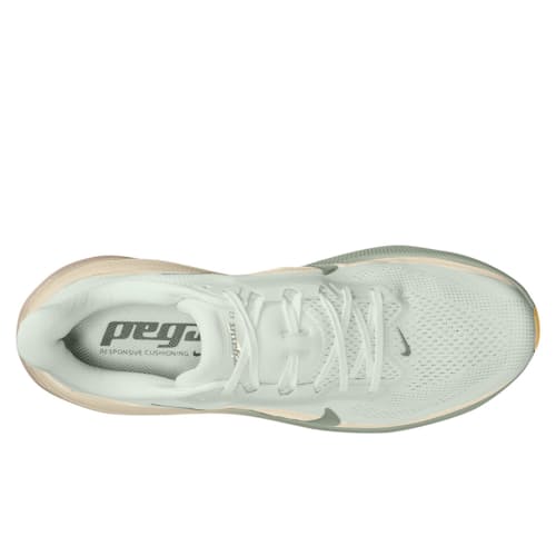 laydown image of Pegasus 42