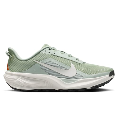 laydown image of ACG Pegasus