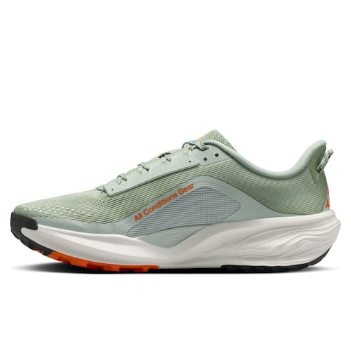 laydown image of ACG Pegasus