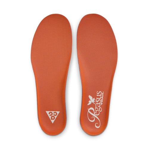 laydown image of ACG Pegasus