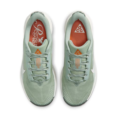 laydown image of ACG Pegasus