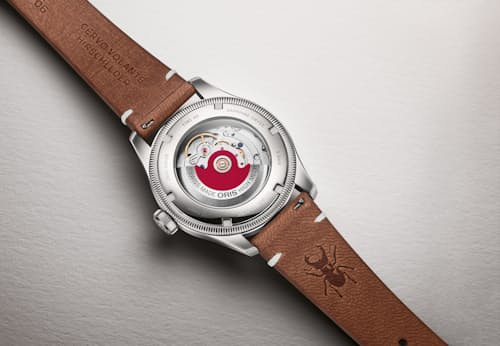 laydown detail image of Oris X Cervo Volante