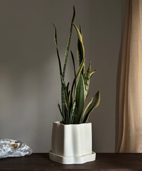 lifestyle image of Amanitas Garden Plant Pot