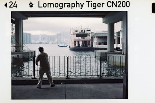 lifestyle image of Color Tiger 110 ISO 200