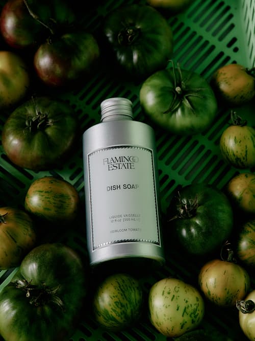 lifestyle image of Tomato Dish Soap
