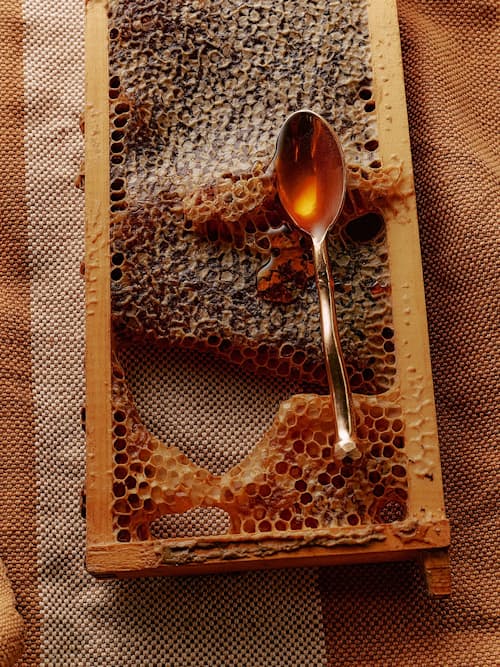 lifestyle image of California Native Mountain Wildflower Honey
