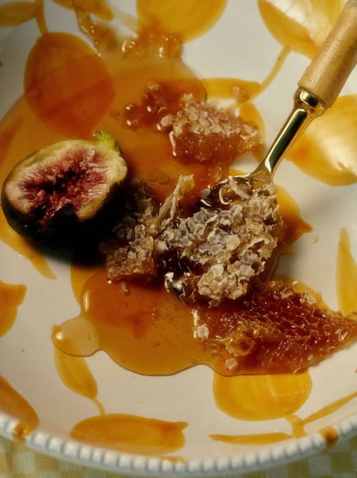 lifestyle image of California Native Mountain Wildflower Honey