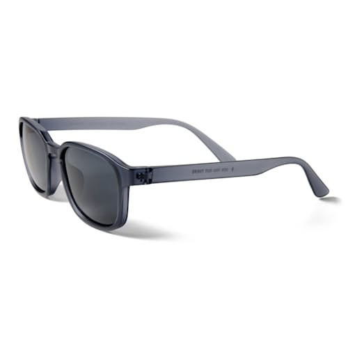 laydown image of Sunseekers Sunglasses