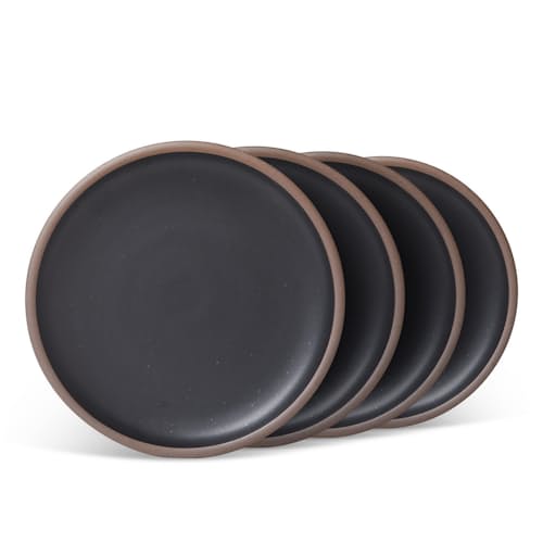 laydown image of Dinner Plate 4-Pack