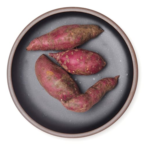 laydown image of Dinner Plate 4-Pack