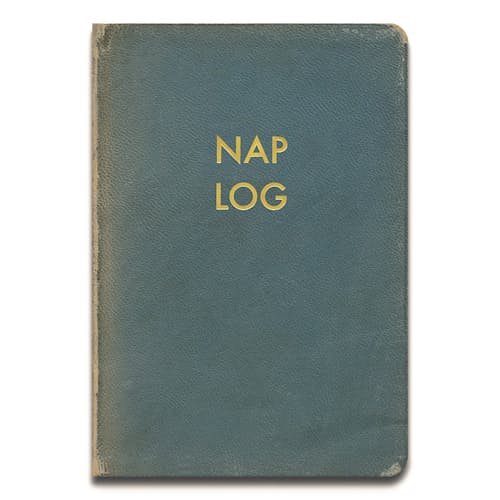laydown image of Nap Log